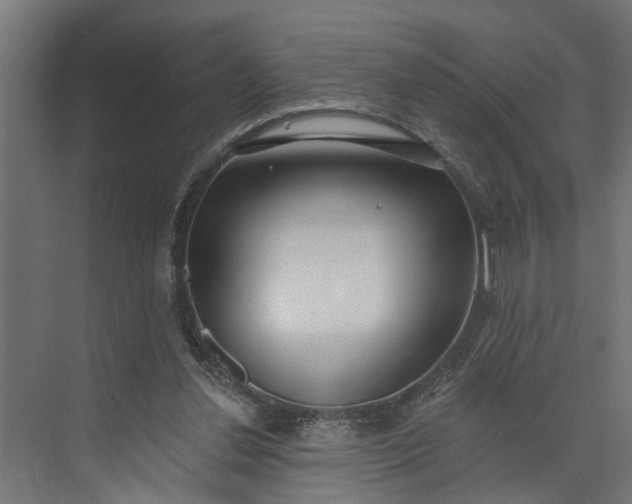 X0000073930252200608251623