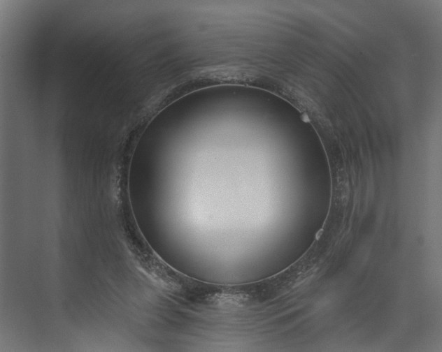 X0000073930255200608251623