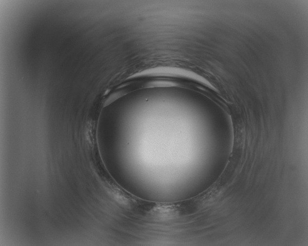 X0000073930280200608251623