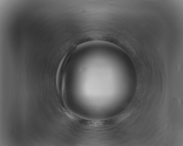 X0000073930288200608251623