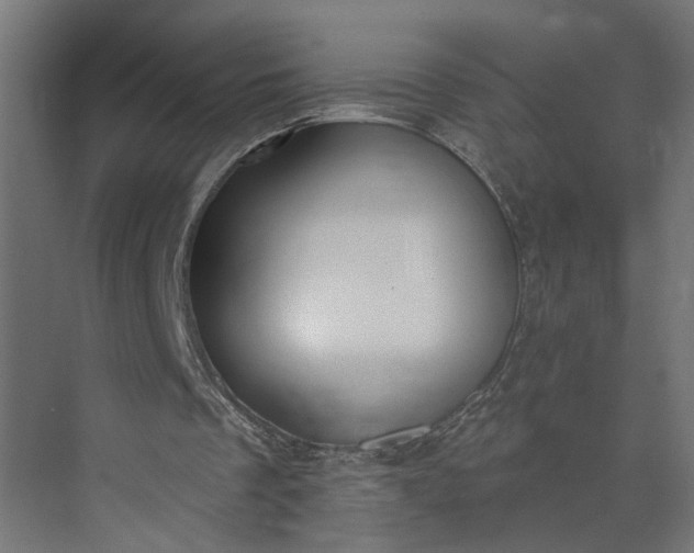 X0000073930289200608251623