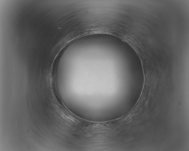 X0000073930290200608251623