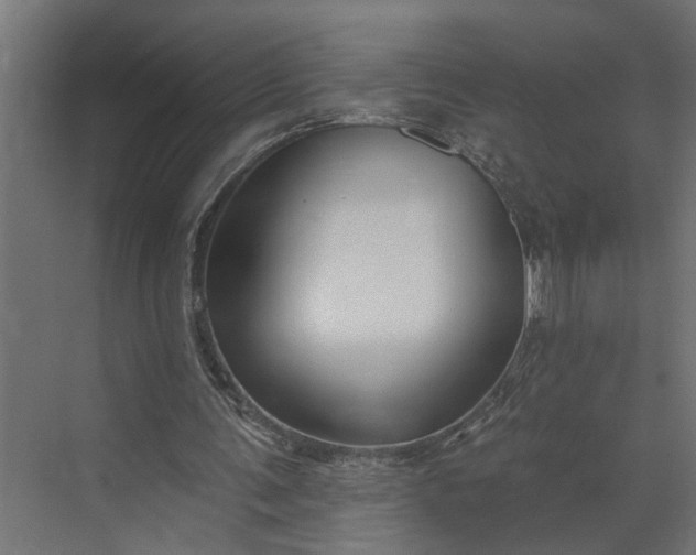 X0000073930291200608251623