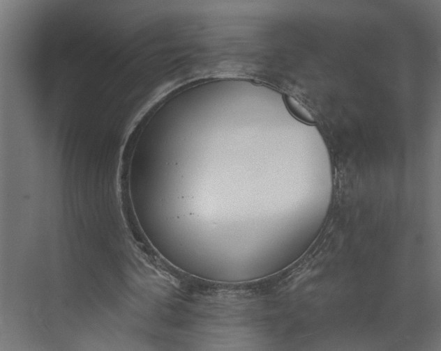 X0000073930292200608251623