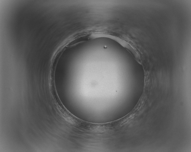 X0000073930293200608251623