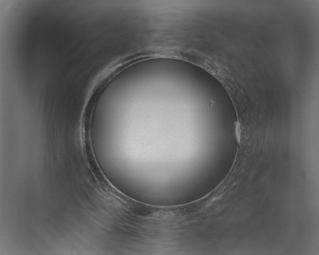 X0000073930294200608251622