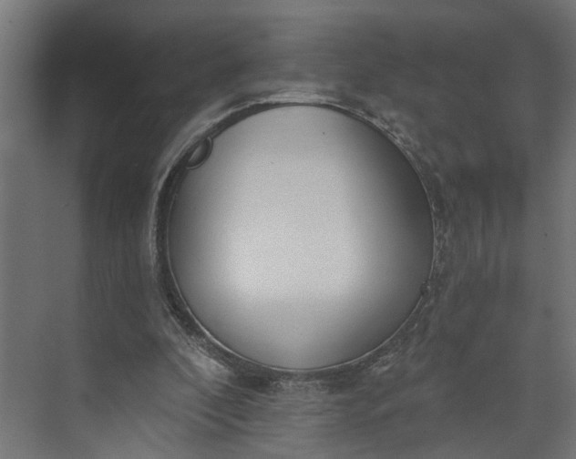 X0000073930296200608251622