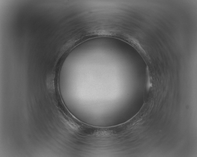 X0000073930299200608251622