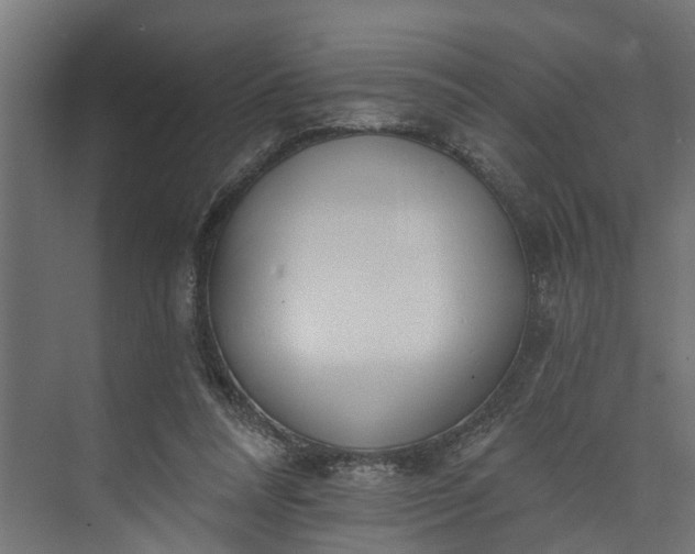 X0000073930304200608251622