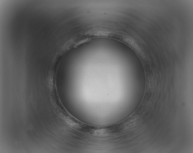 X0000073930309200608251622