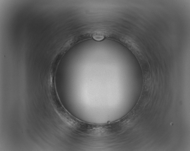 X0000073930310200608251622