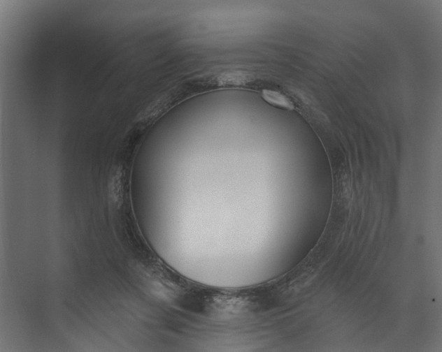 X0000073930311200608251622