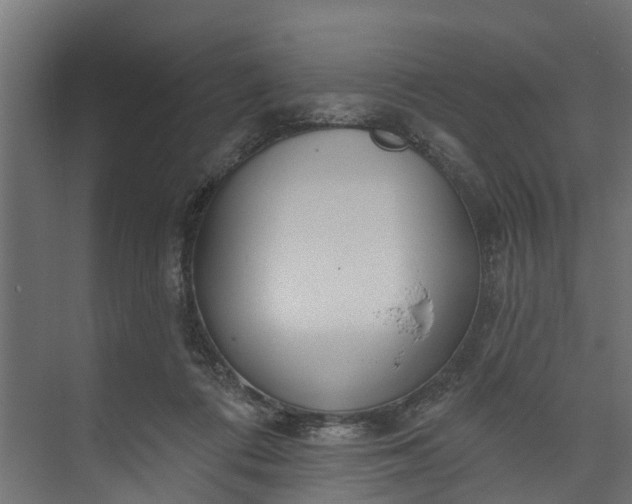 X0000073930312200608251622