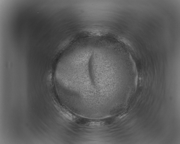 X0000073930314200608251622