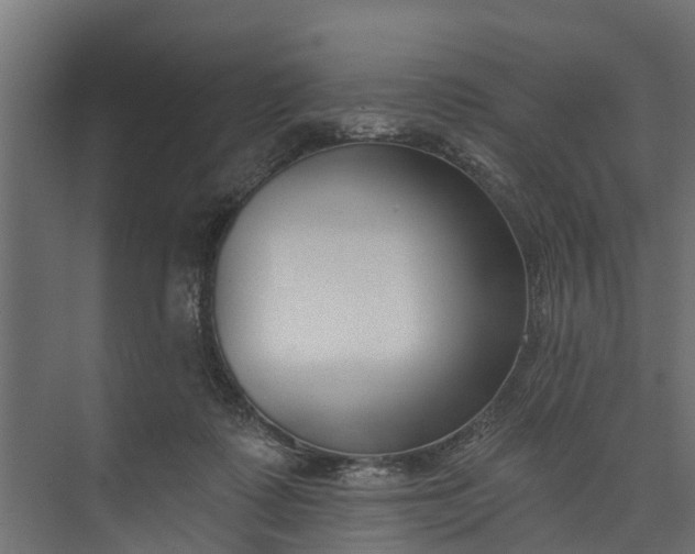 X0000073930315200608251622