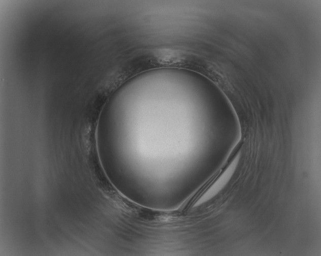 X0000073930319200608251622