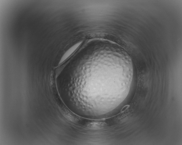 X0000073930323200608251622