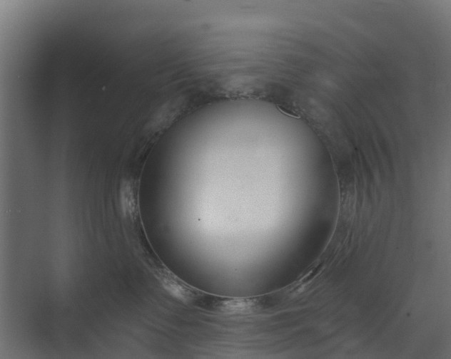 X0000073930335200608251622