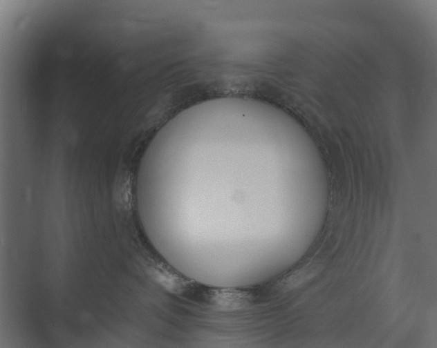 X0000073930336200608251622