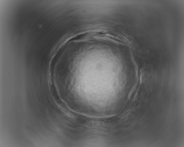 X0000073930339200608251621