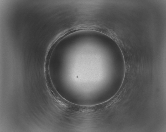 X0000073930340200608251621