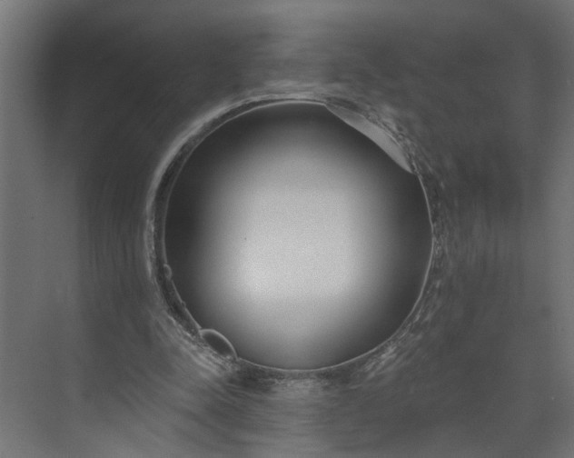 X0000073930342200608251621