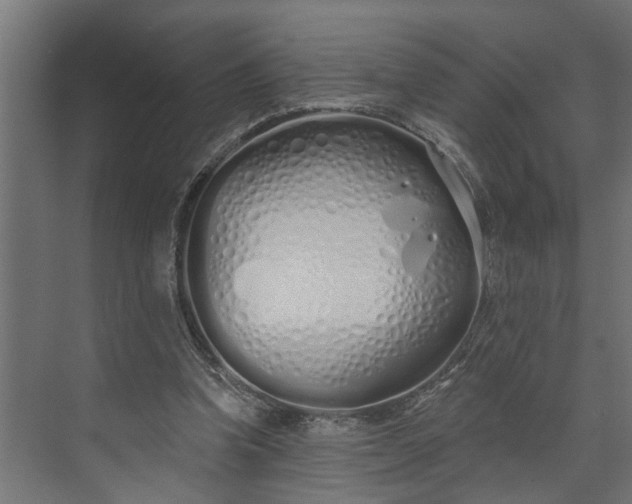 X0000073930346200608251621