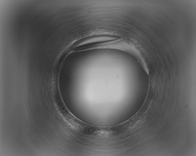 X0000073930352200608251621