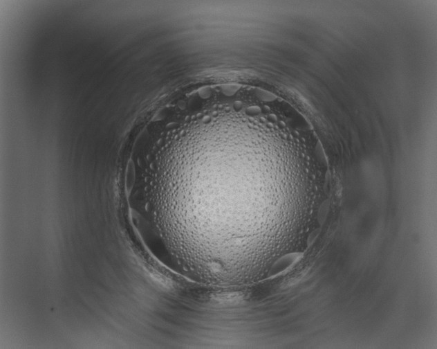 X0000073930357200608251621