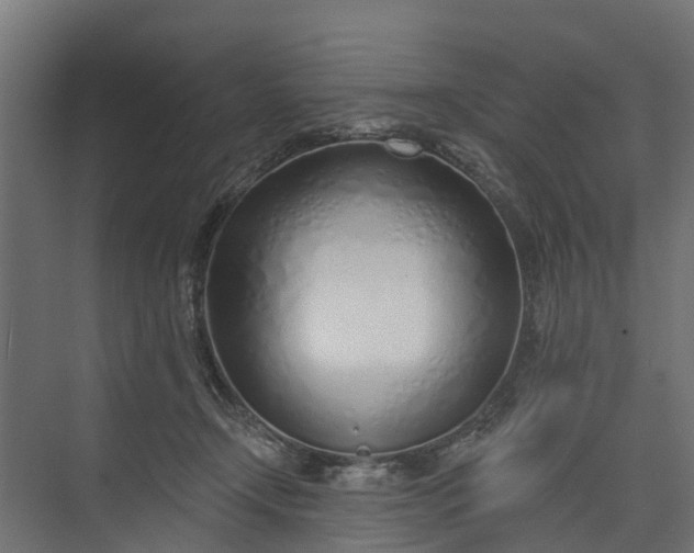 X0000073930366200608251621