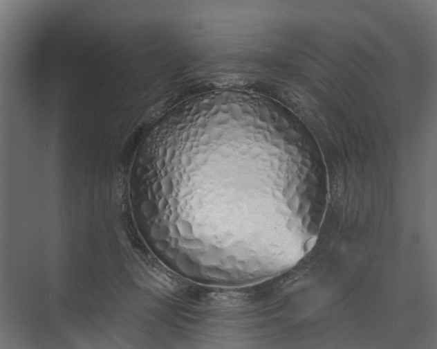 X0000073930367200608251621