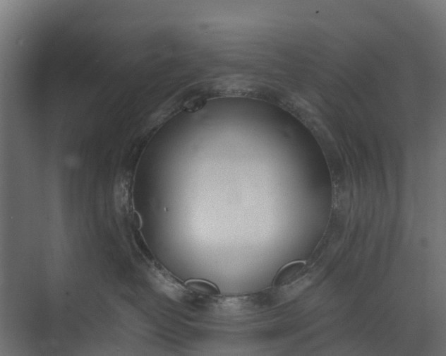 X0000073930382200608251622