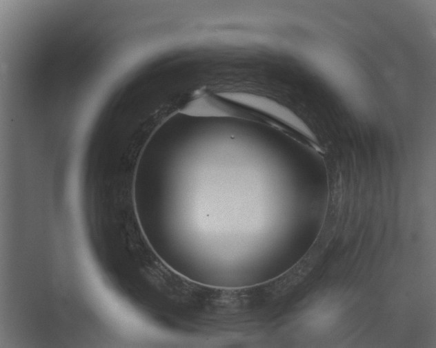 X0000073930383200608251622