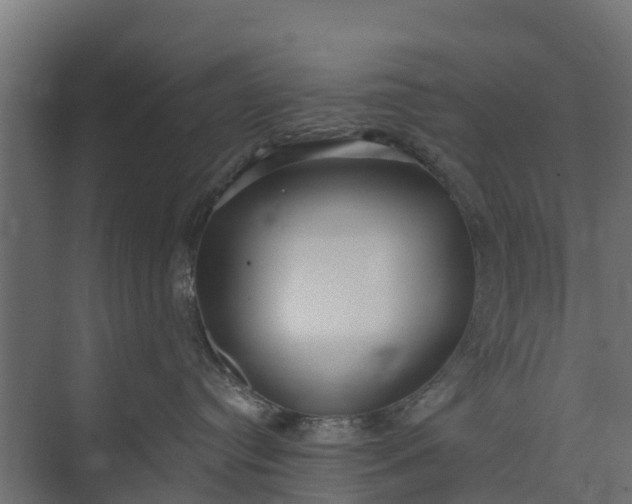 X0000073930384200608251622