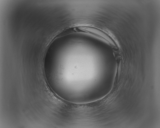 X0000073930385200608251621