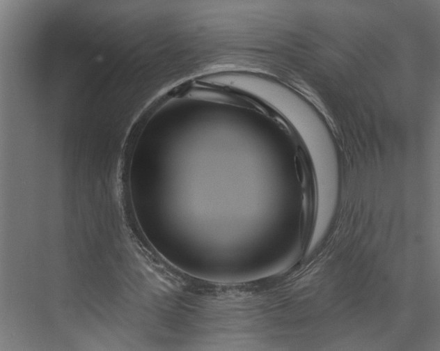 X0000073930387200608251621