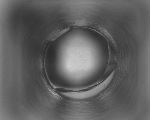 X0000073930393200608251621