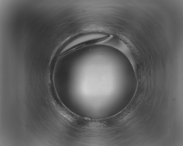 X0000073930399200608251621