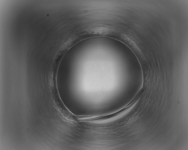 X0000073930403200608251621