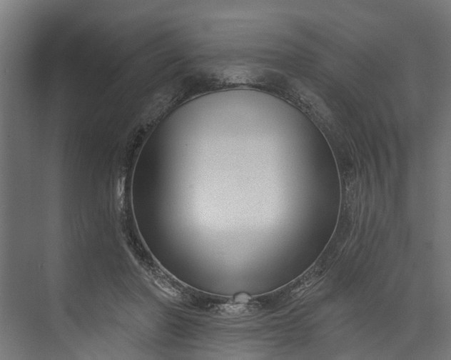 X0000073930406200608251621