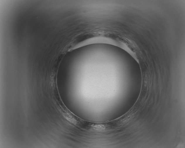 X0000073930409200608251621