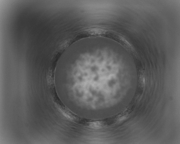 X0000073930411200608251620