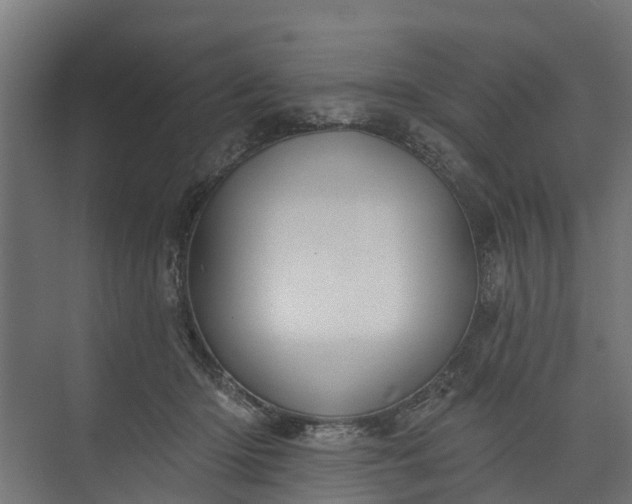 X0000073930414200608251620