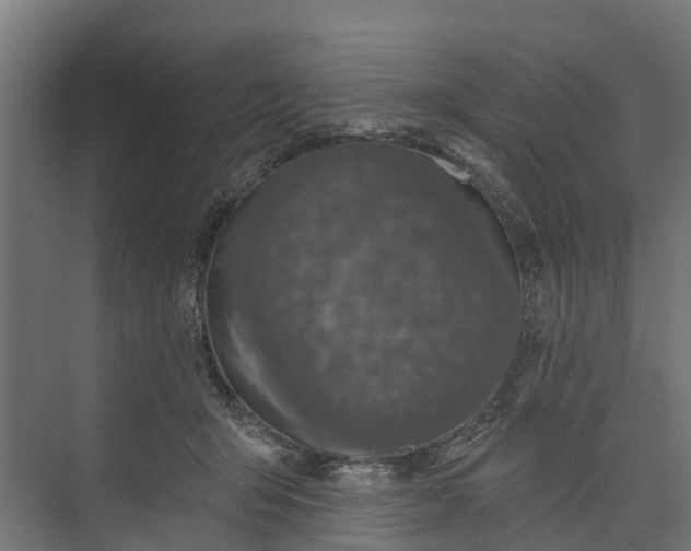 X0000073930415200608251620