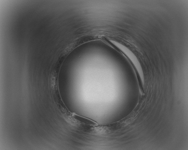 X0000073930417200608251620