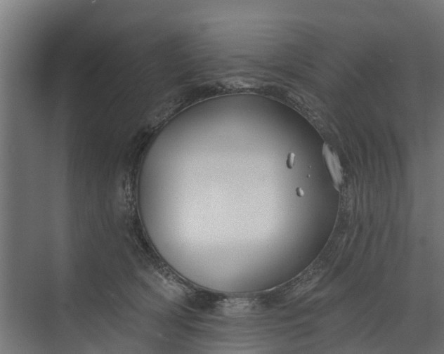 X0000073930418200608251620