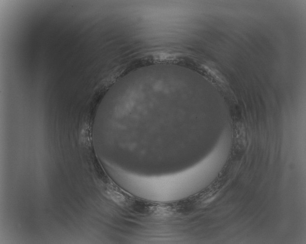 X0000073930419200608251620