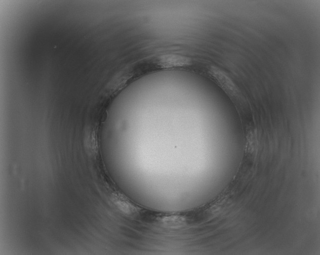 X0000073930426200608251620