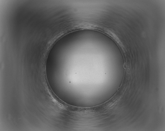 X0000073930433200608251619