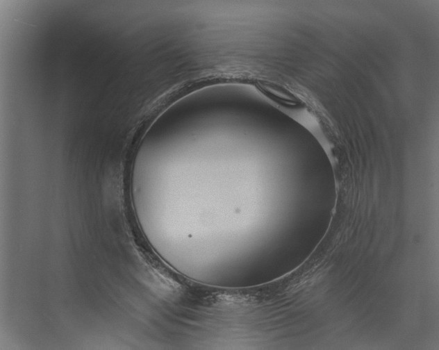 X0000073930442200608251619